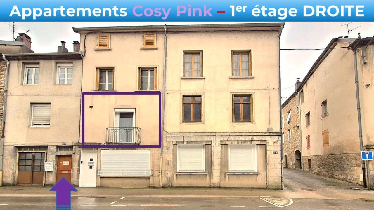 Appartement Cosy Pink Salins Les Bains Экстерьер фото